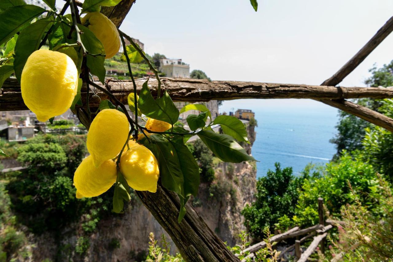 La Pergola 3*